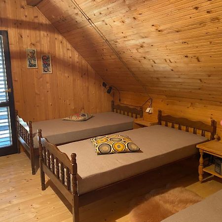 Holiday House Nesovic Kopaonik Bagian luar foto