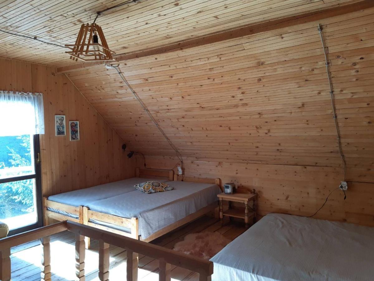 Holiday House Nesovic Kopaonik Bagian luar foto