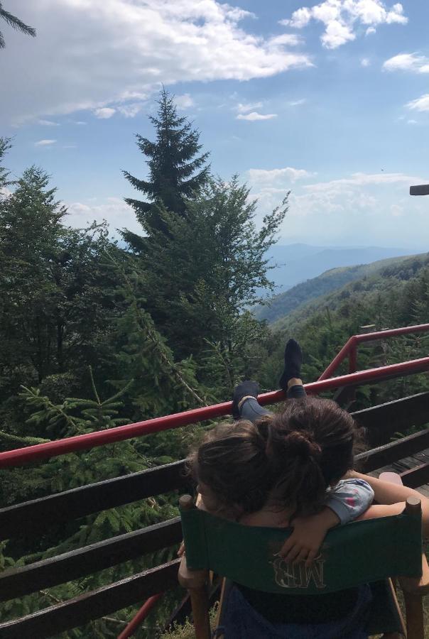 Holiday House Nesovic Kopaonik Bagian luar foto