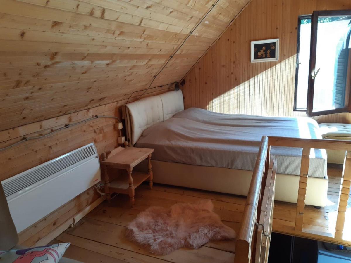 Holiday House Nesovic Kopaonik Bagian luar foto