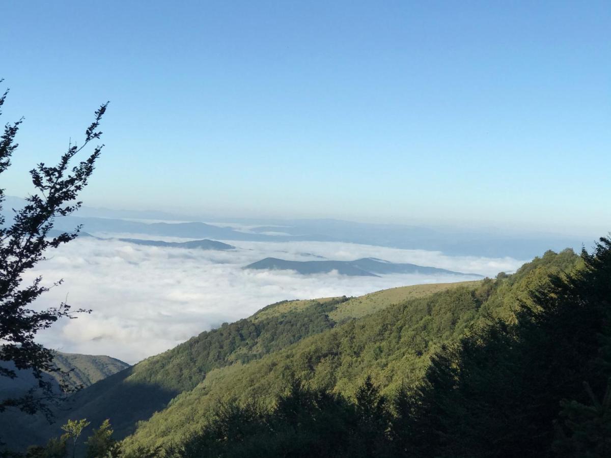 Holiday House Nesovic Kopaonik Bagian luar foto
