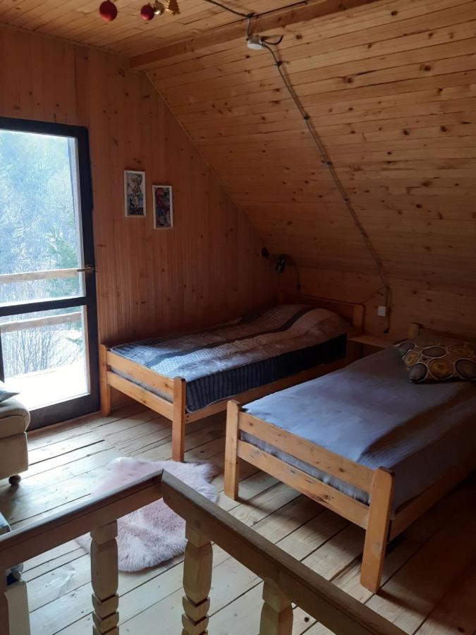 Holiday House Nesovic Kopaonik Bagian luar foto