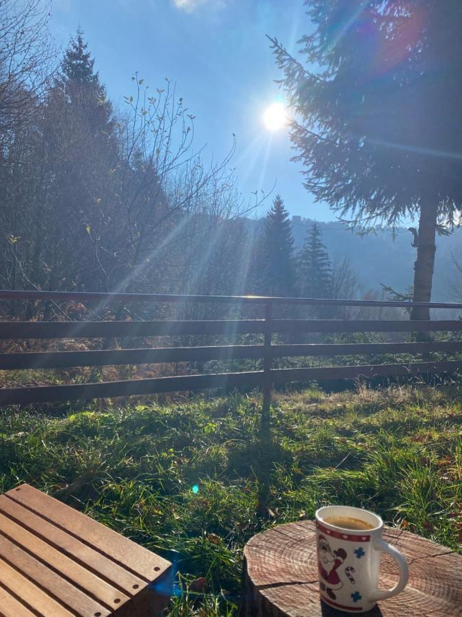 Holiday House Nesovic Kopaonik Bagian luar foto