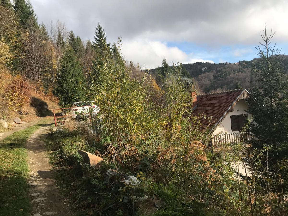 Holiday House Nesovic Kopaonik Bagian luar foto