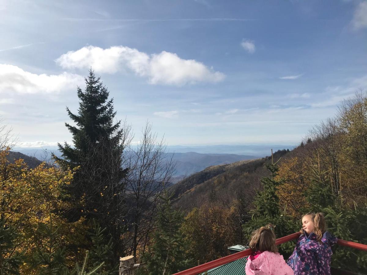 Holiday House Nesovic Kopaonik Bagian luar foto