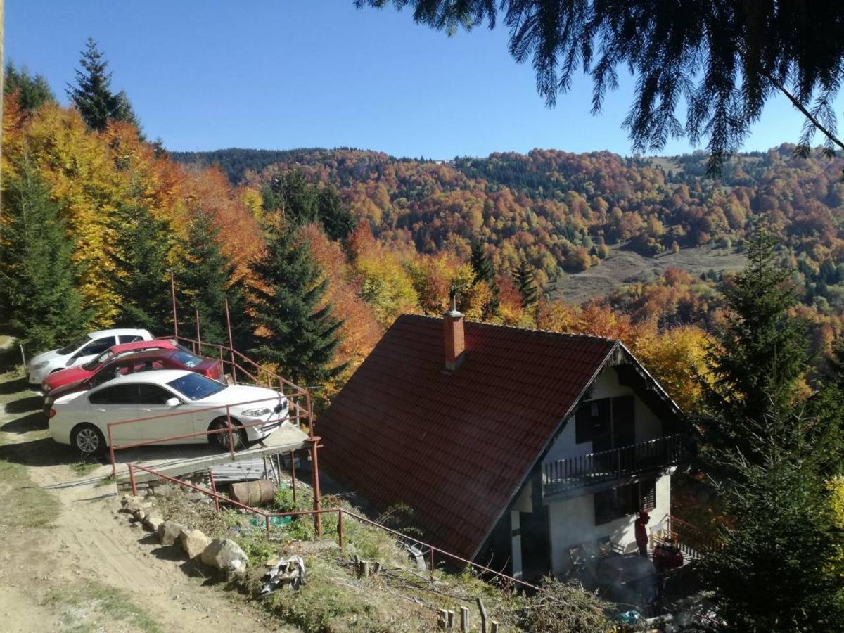 Holiday House Nesovic Kopaonik Bagian luar foto