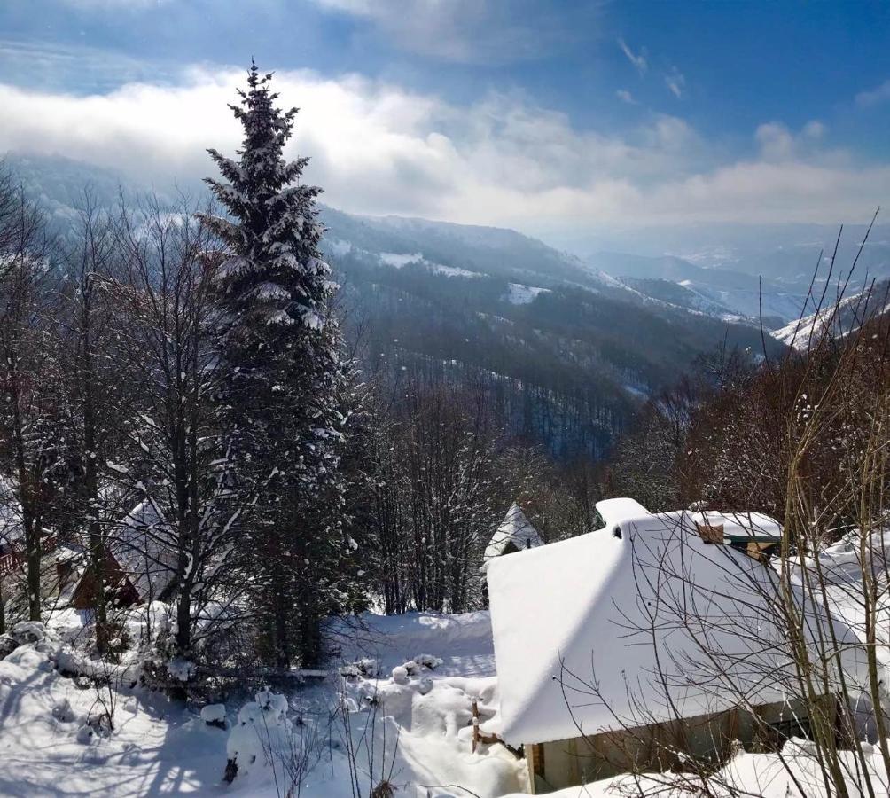 Holiday House Nesovic Kopaonik Bagian luar foto