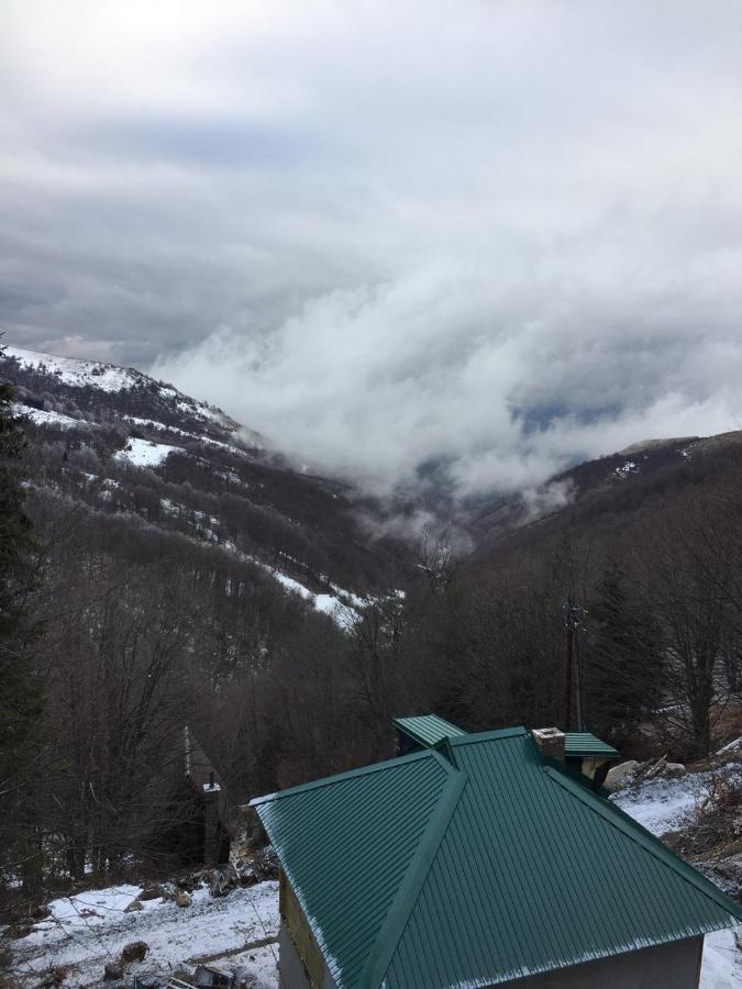Holiday House Nesovic Kopaonik Bagian luar foto