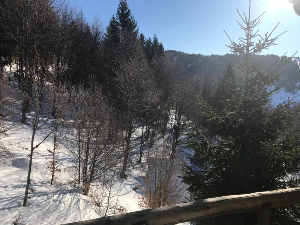 Holiday House Nesovic Kopaonik Bagian luar foto