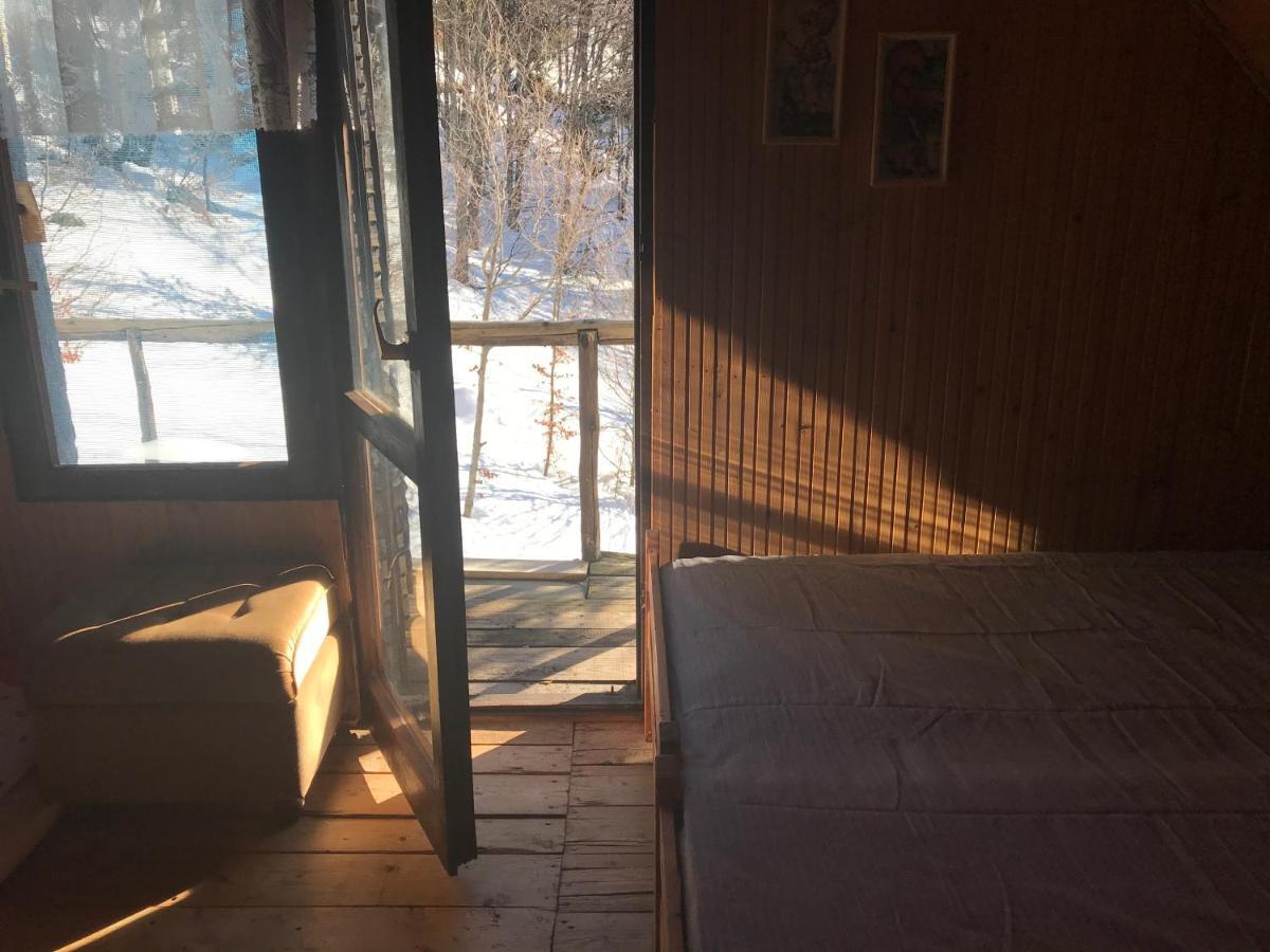 Holiday House Nesovic Kopaonik Bagian luar foto