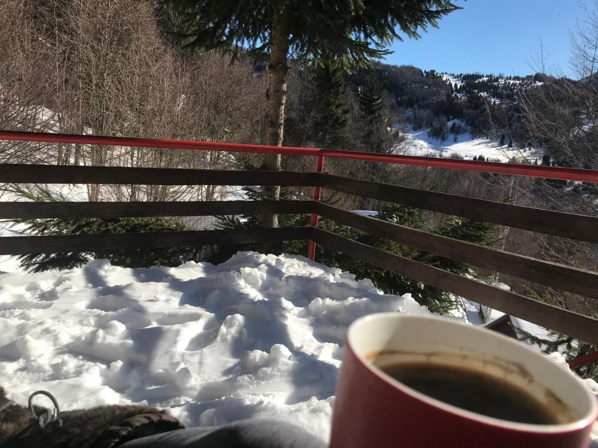 Holiday House Nesovic Kopaonik Bagian luar foto