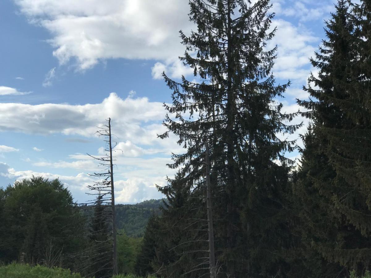 Holiday House Nesovic Kopaonik Bagian luar foto