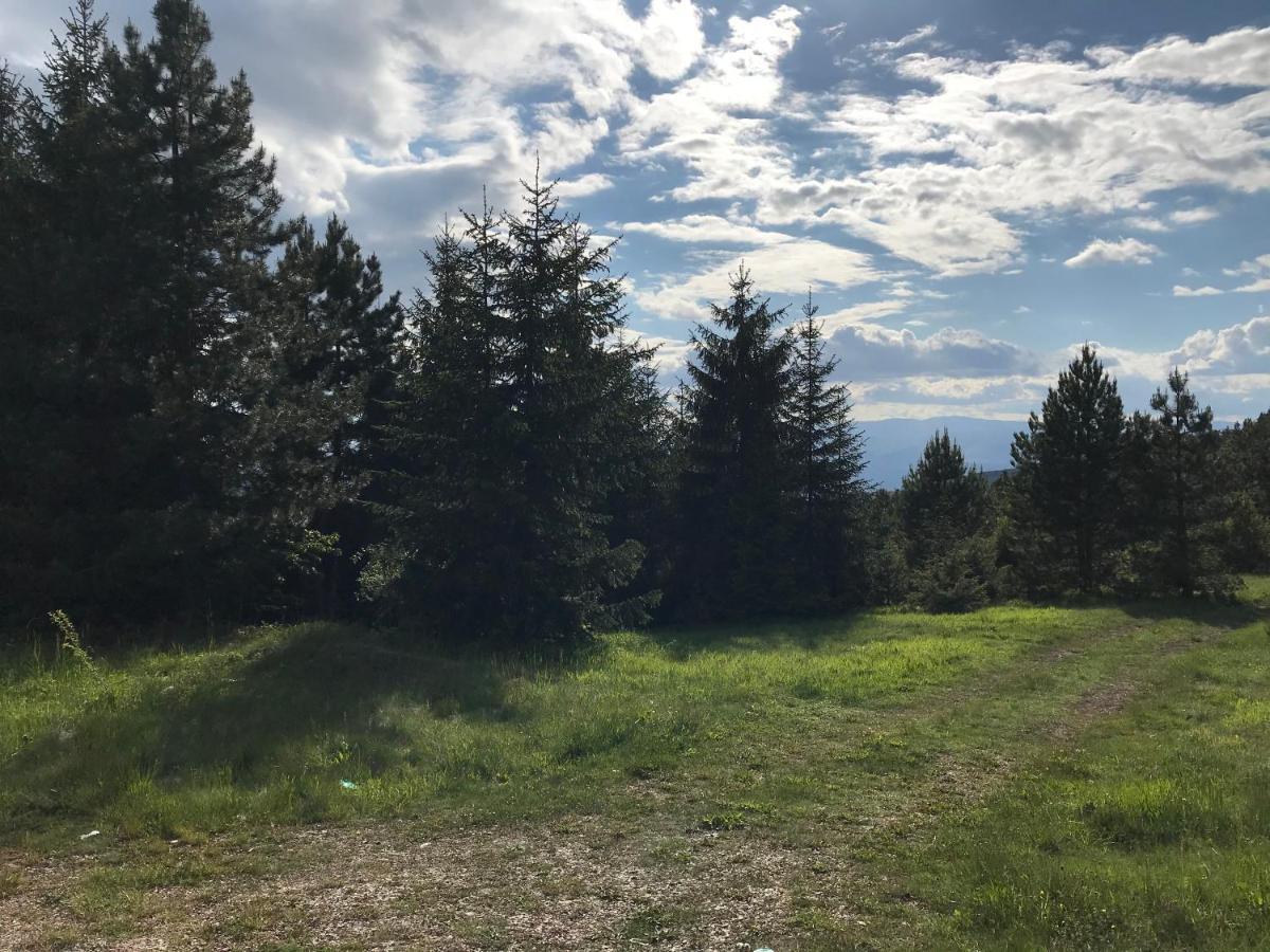 Holiday House Nesovic Kopaonik Bagian luar foto