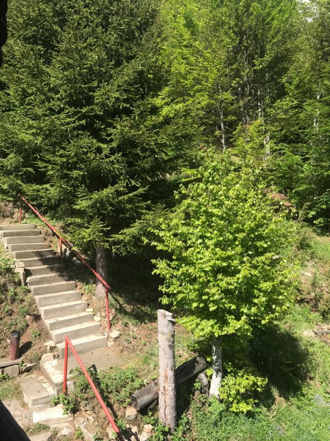Holiday House Nesovic Kopaonik Bagian luar foto