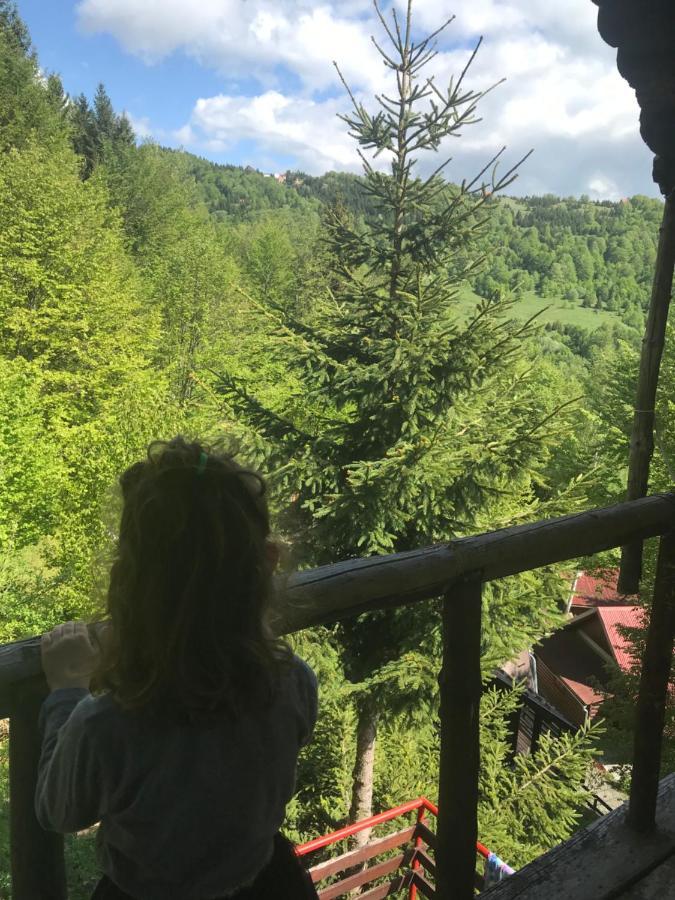 Holiday House Nesovic Kopaonik Bagian luar foto